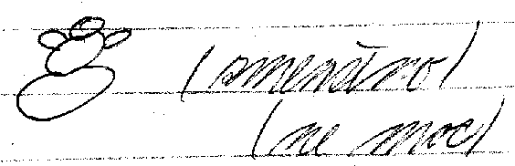 sněhulák (zmenšeno - ne moc)